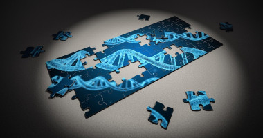 <p>Para iniciar el proceso de modificación, los científicos han usado una técnica de edición genética llamada nucleasas con dedos de zinc. <a href="https://cdn.pixabay.com/photo/2017/07/13/12/55/puzzle-2500333_960_720.jpg" target="_blank">Pixabay </a></p>