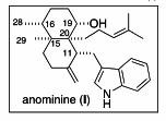 <p>La anominina es un diterpeno fúngico que se obtiene del esclerocio del hongo <em>Aspergillus nomius. </em>Imagen: UB.</p>