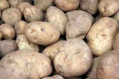 <p> Los extractos de té verde y de ajo estudiados pueden utilizarse como agentes antipardeantes para la conservación en refrigeración de la patata durante 14 días. / Pablo. </p>