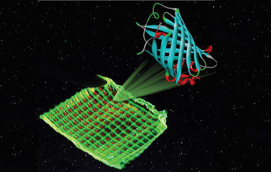 <p>Ilustración de un filtro de color con proteínas luminiscentes verdes y rojas impreso en una microestructura de malla. / Katharina Weber</p>