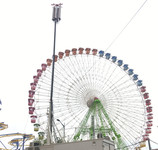 antenanoria