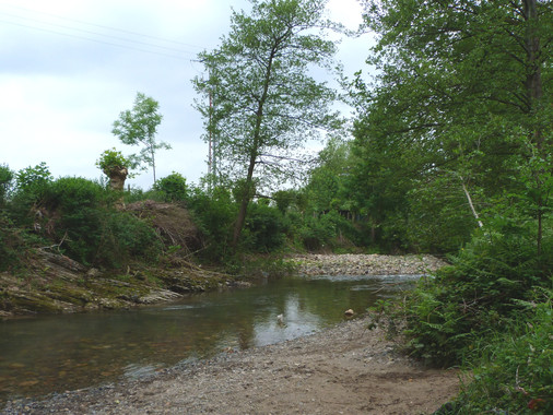 <p>Canal actual del río Oiartzun / Miren del Val</p>