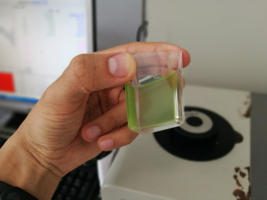 <p>La técnica desarrollada consiste en tomar una muestra de un cultivo de microalgas y, a través de un colorímetro, obtener su huella espectral. En la imagen, muestra lista para medir la huella espectral con el colorímetro. / Blas Franco</p>