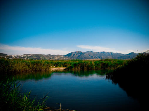<p>Vista parcial del parque natural. / <a href="http://upload.wikimedia.org/wikipedia/commons/d/d1/Marjal_Pego-Oliva.jpg" target="_blank">Wikipedia</a></p>