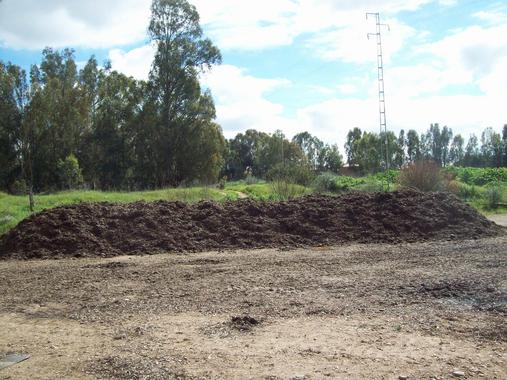 <p>Pilar para el compostaje de alperujo. Imagen: US</p>