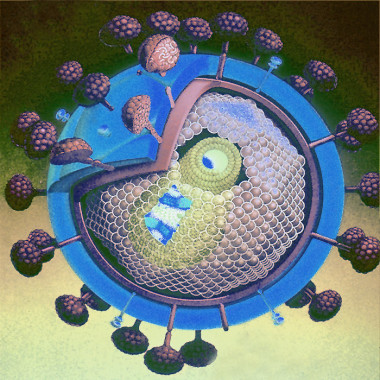 <p>Virus del VIH. Imagen: A JC</p>