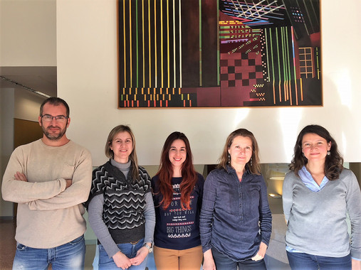 <p>De izquierda a derecha, Manuel Villegas, Esther Ballesta-Illán, Lucía García-López, María Domínguez, Diana Vallejo, del Instituto de Neurociencias de Alicante. / UMH-CSIC</p>