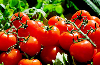 <p>La investigación apunta que los compuestos de tomates rojos y lisos son más activos en la prevención del cáncer colorrectal. / Fundación Descubre </p>