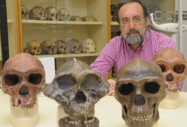 <p>El catedrático Daniel Turbón, coautor del estudio científico, es especialista en antropología molecular y forense y en origen y evolución de los homínidos./ UB.</p>