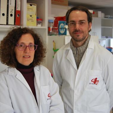 <p>Los investigadores Virginia Nunes y Miguel López de Heredia. / IDIBELL.</p>