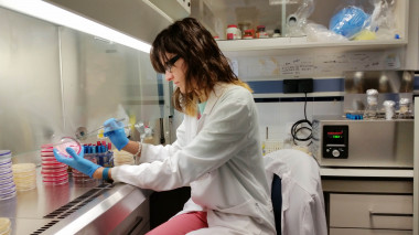 <p>Investigadora del grupo Microbiología de los Alimentos y del Medio Ambiente de la Universidad de Jaén. / Fundación Descubre</p>