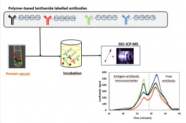 <p><sub>Resumen gráfico procedimiento diseñado por el Grupo de Espectrometría Atómica Analítica de la UA. / <em><a href="https://www.sciencedirect.com/science/article/pii/S0003267018302964?via%3Dihub" target="_self">Analytica Chimica Acta</a></em></sub></p>