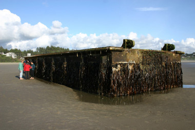 <p>El junio de 2012 llegó a las costas de Oregón en EE UU este gran muelle de pesca perteneciente al puerto de Misawa, en Japón, tras el tsunami de 2011. Fue el primer objeto que encontraron los investigadores. En él hallaron más de 100 especies japonesas vivas. / John W. Chapman </p>