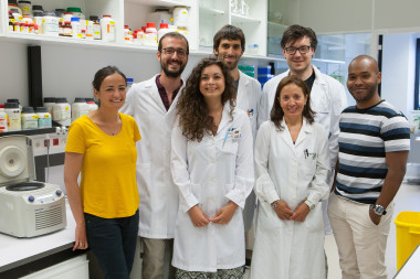 <p>Maite Huarte y Francesco Marchese (primera y segundo por la izquierda) junto a su equipo de investigadores del CIMA. / Manuel Castells</p>