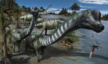 <p>Ilustración de <em>Europatitan eastwoodi</em>, con su gigantesco cuello de unos 10 metros. / Davide Bonadonna / Colectivo Arqueológico-Paleontológico de Salas</p>
