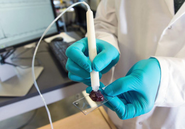 <p>El aparato extrae las moléculas de los tejidos utilizando pequeños volúmenes de agua, que luego transfiere las muestras a través de tubos flexibles a un espectrómetro de masas. / Vivian Abagiu / UT Austin</p>