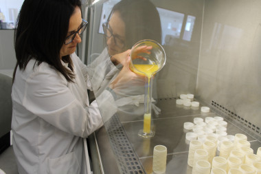 <p>Es la primera vez que se obtiene un envase bioplástico de los azúcares que contienen las aguas residuales de la industria de zumos. / Ainia</p>