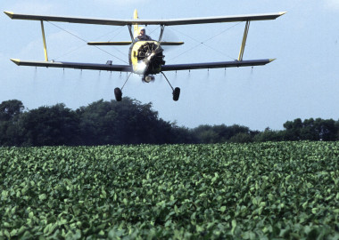 <p>La exposición a los insecticidas para los que viven cerca de las zonas agrícolas puede ser problemática, especialmente durante la gestación. / <a href="http://upload.wikimedia.org/wikipedia/commons/f/fd/Crop_Duster.jpg" target="_blank">Wikipedia</a></p>