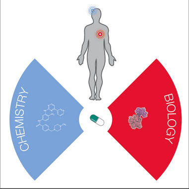<p>Gráfico que representa la combinación de química y biología para determinar qué causa un determinado efecto secundario. / Miquel Duran</p>