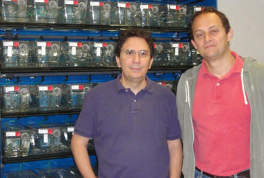 <p>Los investigadores Alejandro Barrallo y Raúl Estévez, del departamento de Ciencias Fisiológicas de la Universidad de Barcelona. / UB</p>