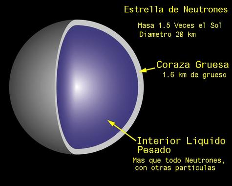 <p>Estructura de una estrella de neutrones. Imagen: <a href="http://commons.wikimedia.org/wiki/File:Estrella_de_Neutrones.jpg" target="_blank">Wikipedia</a></p>