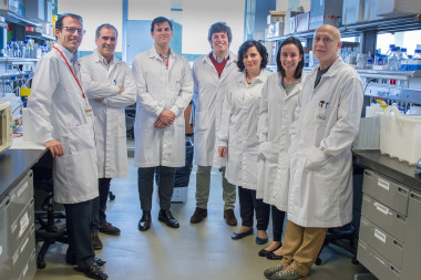 <p>De izda. a dcha. Gonzalo Pizarro, David Sanz-Rosa, Borja Ibáñez, Jaime García-Prieto, Mónica Gómez, Rocío Villena y Andrés Hidalgo. / CNIC</p>