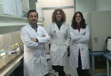 <p>De izquierda a derecha, los investigadores, Juan Antonio Marchal, Macarena Perán y Elena López. / UJA</p>