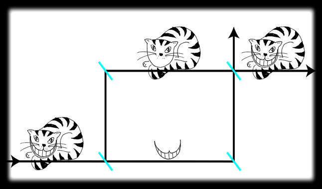 <p>En el experimento el gato va por el camino del haz superior, mientras que su sonrisa se desplaza por el inferior. / Leon Filter/TUWien</p>