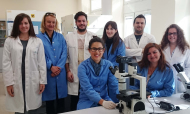 <p>Investigadores del laboratorio de Neurobiología celular del Instituto de Parasitología y Biomedicina López-Neyra (CSIC) en Granada. / Fundación Descubre</p>