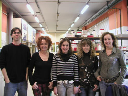 <p>Grupo de investigación de la UPV/EHU. De izquieda a derecha, Pablo Casuso, Isabel Goñi, Itziar Silva, Ruth Rodríguez y Marilo Gurrutxaga.</p>