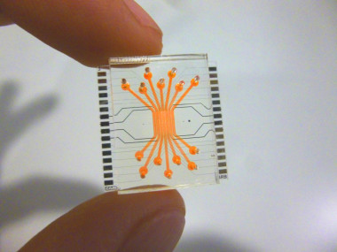 <p>Este microchip permite reproducir lo que ocurre ‘in vivo’ en la retina y puede ser una herramienta esencial que revolucione dicha experimentación ‘in vitro