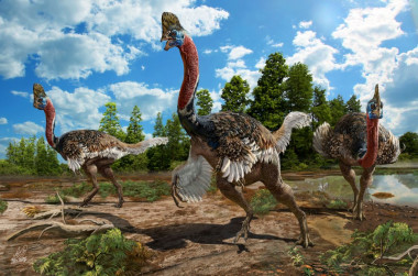 <p>Reconstrucción artística de <em>Corythoraptor jacobsi. </em>/ Zhao Chuang</p>