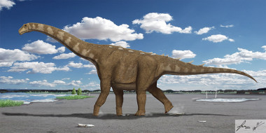 <p>Reconstrucción del aspecto en vida de "Lohuecotitan pandafilandi". / F. Gascó / E. Manzanero.</p>