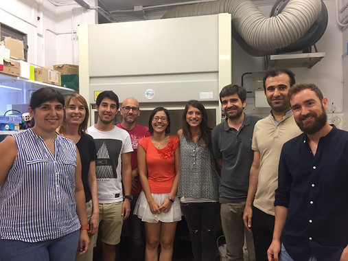 <p>El trabajo ha sido dirigido por el grupo de Manuel Vázquez Carrera, investigador de la Unidad de Farmacología y Farmacognosia del Departamento de Farmacología, Toxicología y Química Terapéutica y del Instituto de Biomedicina (IBUB) de la UB. (Foto: Universidad de Barcelona)</p>