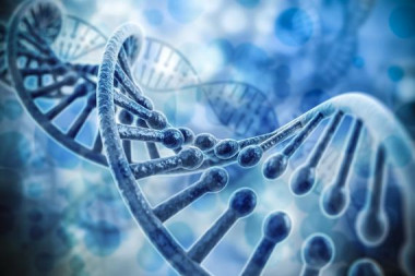 <p>El 98% de nuestro ADN no codifica para proteínas. Estas regiones de ADN contienen miles de genes no codificantes que no están caracterizados y todavía queda un largo camino hasta que comprendamos sus funciones y su papel en las enfermedades / Fotolia</p>