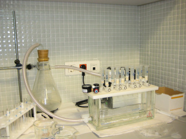 
<!-- START: including template: extension/sinc/design/ezwebin/templates/content/datatype/view/ezxmltags/paragraph.tpl (design:content/datatype/view/ezxmltags/paragraph.tpl) -->
<p>Muestras de leche en el laboratorio. Foto: DiCYT.</p>
<!-- STOP: including template: extension/sinc/design/ezwebin/templates/content/datatype/view/ezxmltags/paragraph.tpl (design:content/datatype/view/ezxmltags/paragraph.tpl) -->
