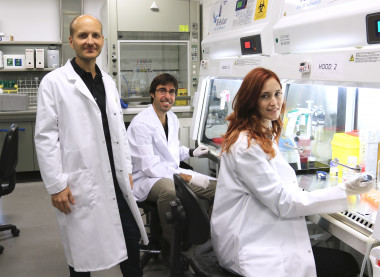 <p>Los investigadores Xavier Trepat, Raimon Sunyer y Pilar Rodríguez. / IBEC</p>
