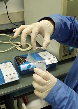 <p>Placa de vidrio de un chip de ADN (<em>DNA microarray</em>) antes de ser utilizado. Imagen: © R. Armañanzas.</p>