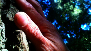 <p>El tacto es uno de los sentidos que se más se trabajan en "A pie por los bosques". Imagen: CREAF.</p>