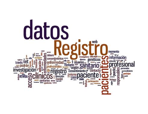<p>Nube de palabras sobre el registro REWBA, sobre los síndromes diabéticos raros de Wolfram, Bardt-Biedl y Alström</p>