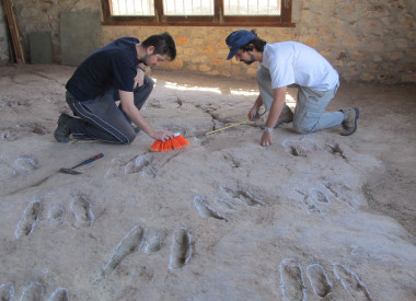 <p>Los investigadores Matías Reolid y Jesús Reolid, durante su trabajo de campo. / Ujaen</p>