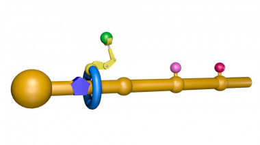 <p>Representación del ribosoma artificial. Imagen: Miriam Wilson</p>