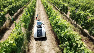 <p>El robot se mueve por el viñedo para tomar datos sobre disponibilidad del agua, temperatura de las hojas y vigor de las plantas. / UPV</p>