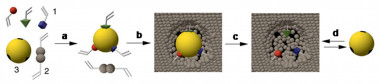 <p>Síntesis MIP: Simulación de la síntesis de un MIP. Imagen: UGR.</p>