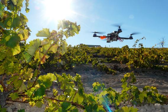 <p>Un "quadrotor" sobrevolando viñedos. Imagen: UPM</p>
