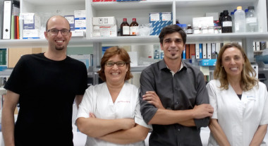 <p>David Soto (UB), Judith Armstrong (HSJD), Xavier Altafaj (IDIBELL) y Àngels García-Cazorla (HSJD). / IDIBELL</p>