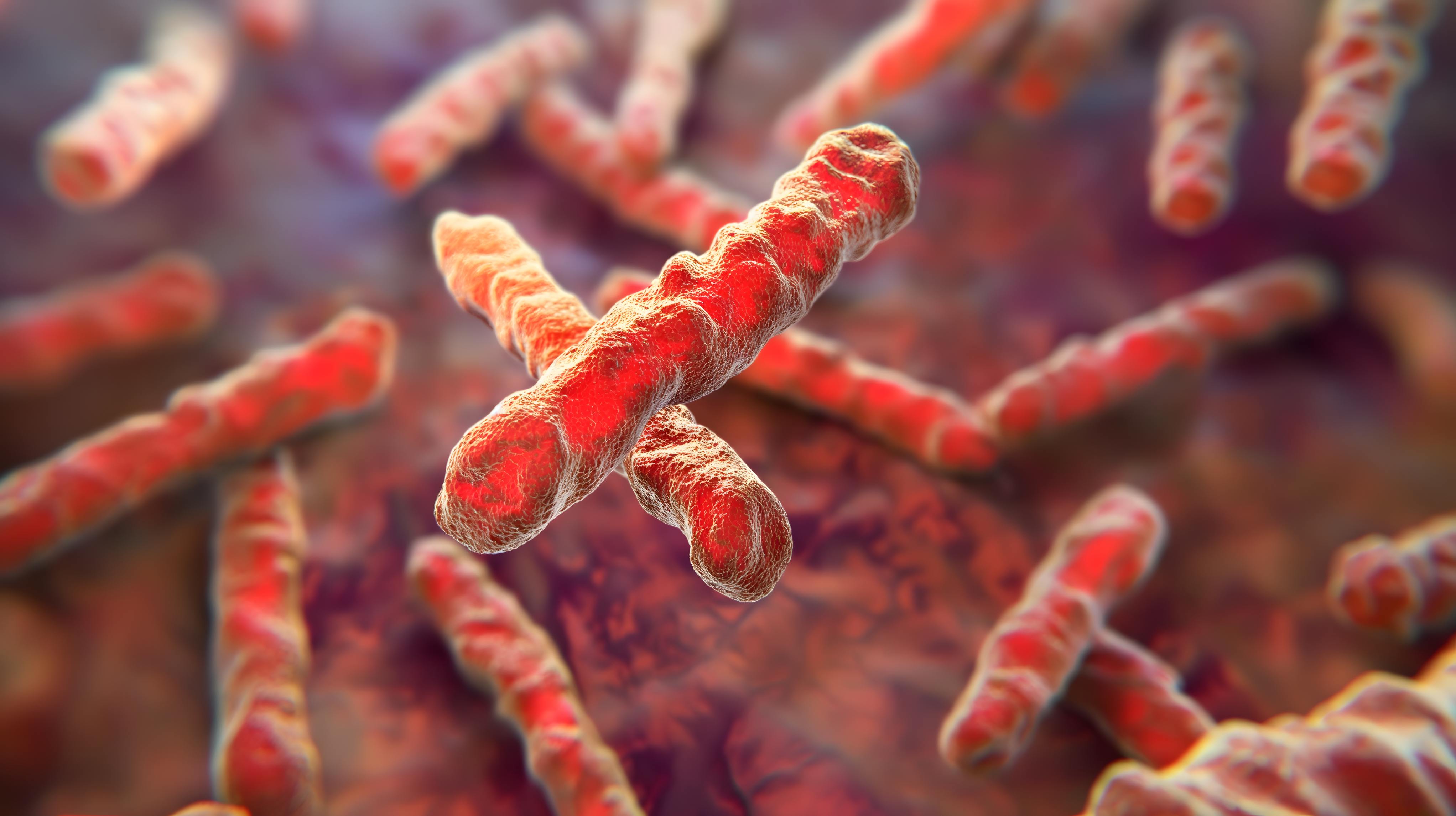 Un test basado en CRISPR detecta la tuberculosis con una muestra tomada con un bastoncillo bucal