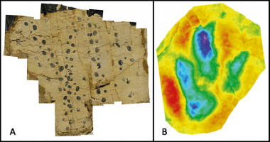 <p>Vista general de uno de los rastros de <em>Megalosauripus</em> (A), mapa de profundidad de una de las huellas (B). / ICP</p>