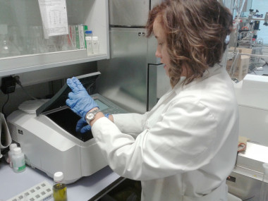 <p>La materia prima es tratada previamente para facilitar su conversión en bioetanol. / Fundación Descubre</p>