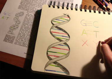 <p>"Estos pares de bases no naturales funcionaron muy bien in vitro, pero el gran reto era conseguir trabajar en un entorno mucho más complejo de una célula viva". / Synthorx.</p>
